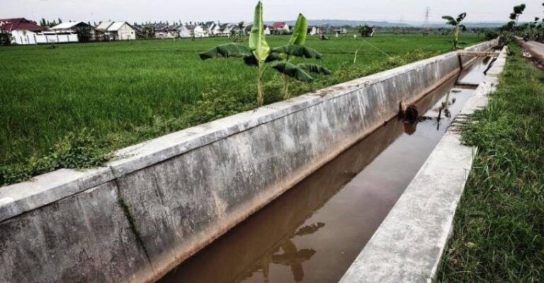 Panduan 5 Tahap Cara Memasang Batu Bata Merah